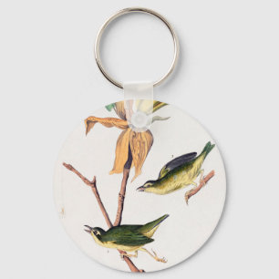 Kentucky Fly fing Warbler Birds Illustration Schlüsselanhänger