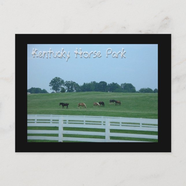 Kentucky Horse Park Postkarte (Vorderseite)