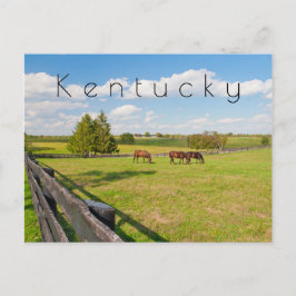 Kentucky Postcard, Pferde auf Pferdefarm Postkarte