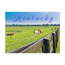 Kentucky Postcard. Pferde auf Pferdefarm.