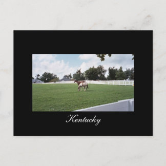 Kentucky Postcard Postkarte