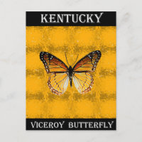 Kentucky Viceroy Butterfly