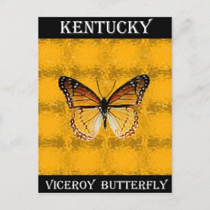 Kentucky Viceroy Butterfly Postkarte