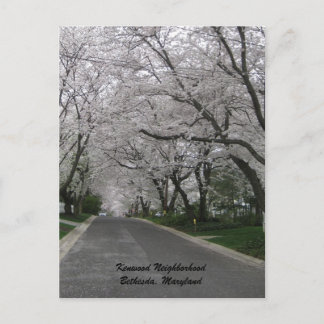Kenwood Neighborhood, Bethesda, Maryland Postkarte