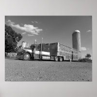 Kenworth A Model Lianimal Hauler (schwarz & weiß)