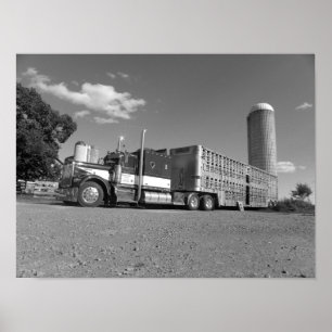 Kenworth ein vorbildlicher Viehbestand-Schlepper Poster