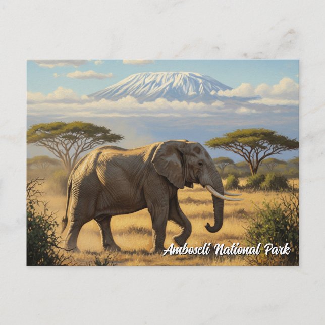 Kenya Amboseli Nationalpark Elephant Postkarte (Vorderseite)