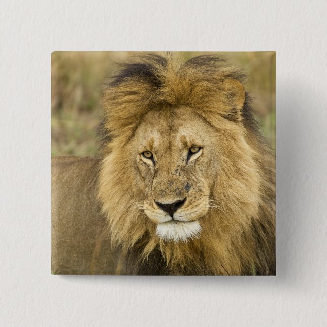 Kenya Masai Mara Button (Vorderseite)