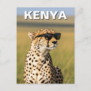 Kenya Masai Mara Cheetah mit Sonnenbrille Postkarte