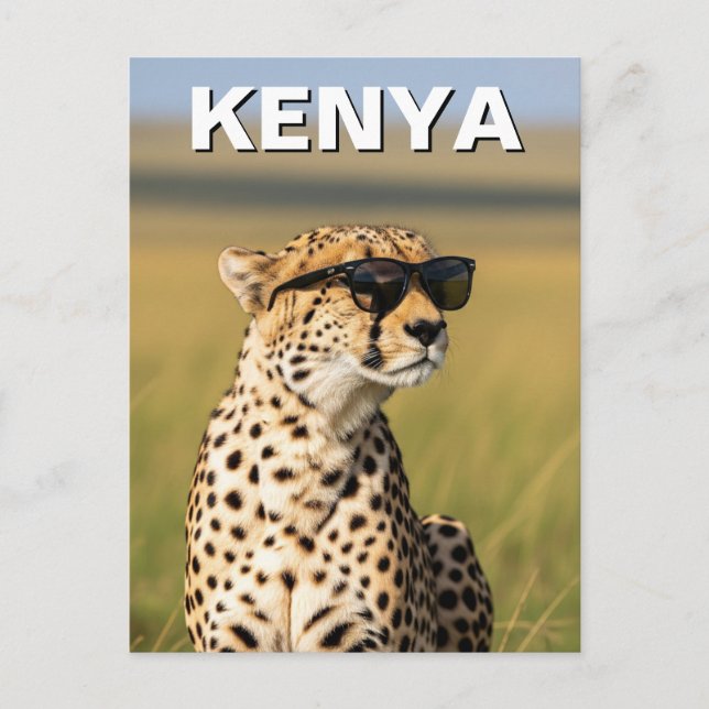 Kenya Masai Mara Cheetah mit Sonnenbrille Postkarte (Vorderseite)