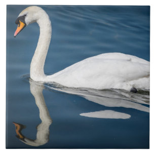 Keramik aus Schwan und blauem Wasser Fliese
