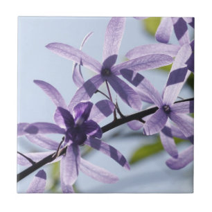 Keramik der Lila Blume Fliese