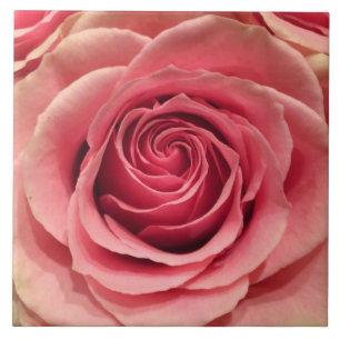Keramik der Peach-Rose Fliese