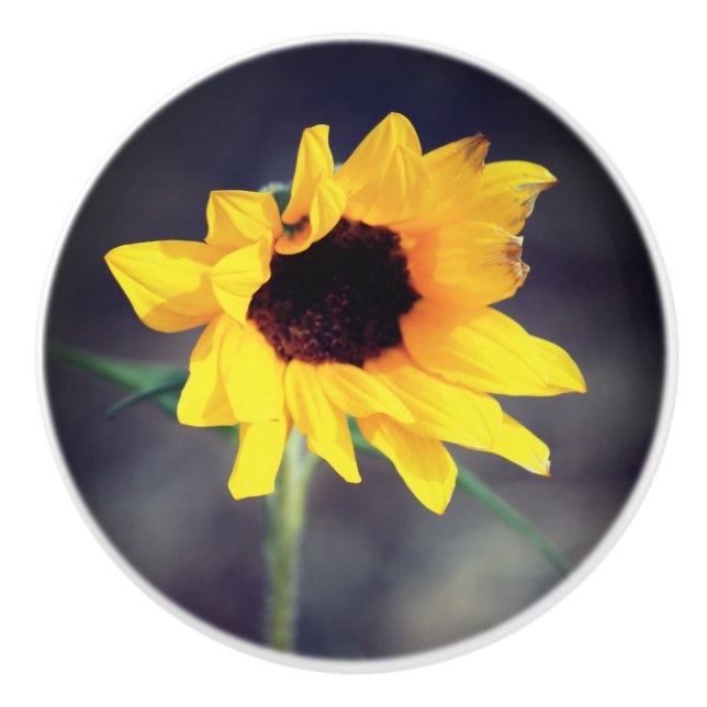 Keramik der Sonnenblumen-Liebe Keramikknauf (Vorderseite)