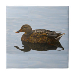 Keramik für Enten-Foto Fliese