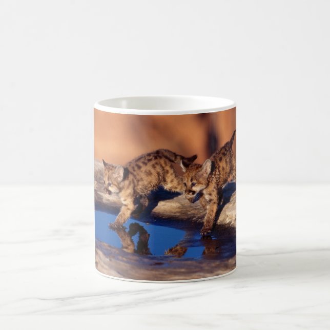 Keramik Kaffee Tasse Cougar Cubs (Mittel)