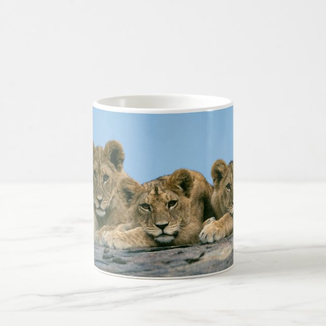 Keramik Kaffee Tasse Lion Cubs (Mittel)