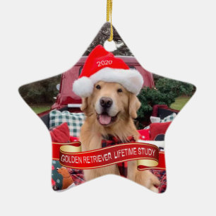 Keramik Keramik Ornament