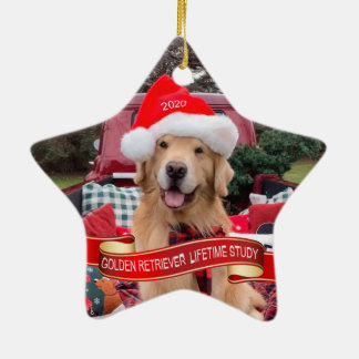 Keramik Keramik Ornament