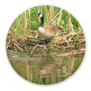 KERAMIK KNOB/KANADA GOOSE AM WASSER KERAMIKKNAUF