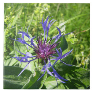 Keramik Mauerdekoration, blaue Blume Fliese