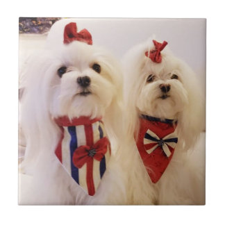 Keramik mit Maltesisch Fliese