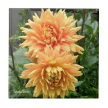 Keramik mit orangefarbenen Dahlien mit Regentropfe