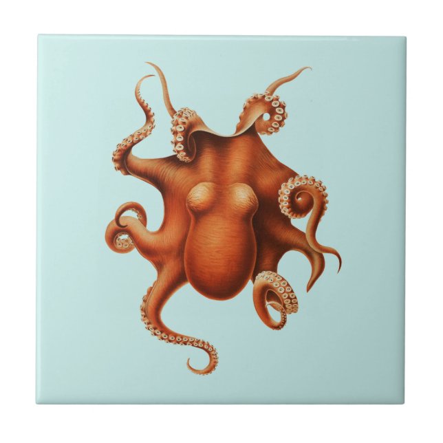 Keramik OCTOPUS-MEERESWELT Fliese (Vorderseite)