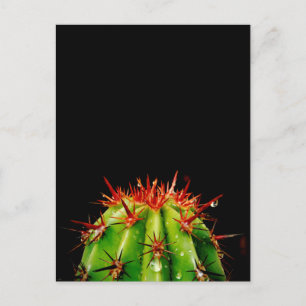 Keramik Postkarte