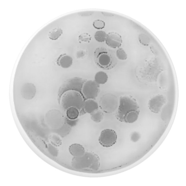 KERAMIK PULL ART DESIGN STIL KERAMIKKNAUF (Vorderseite)