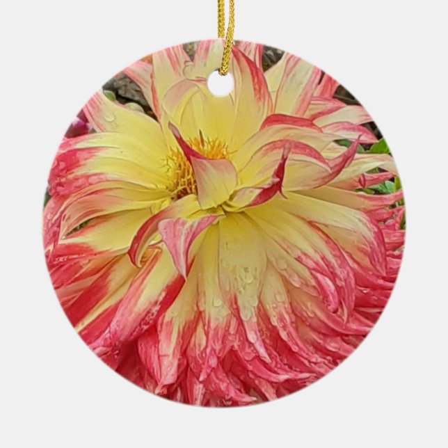 Keramik Rosa und Gelb Dahlia Keramik Ornament (Vorne)