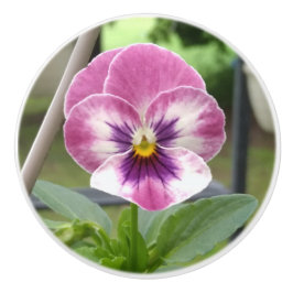 Keramik (rosa und Lila) Keramikknauf