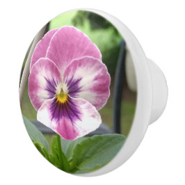 Keramik (rosa und Lila) Keramikknauf