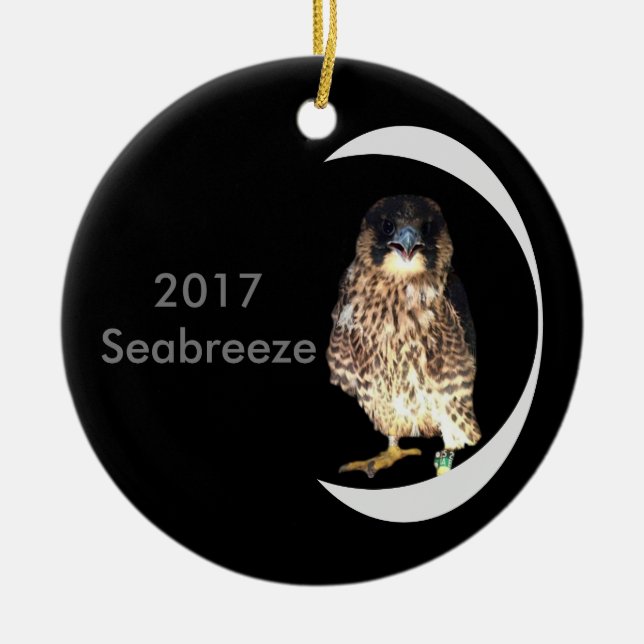 Keramik Seabreeze 2017 Keramik Ornament (Vorne)