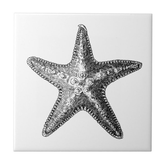 Keramik "STARFISH"-MEERESWELT Fliese (Vorderseite)