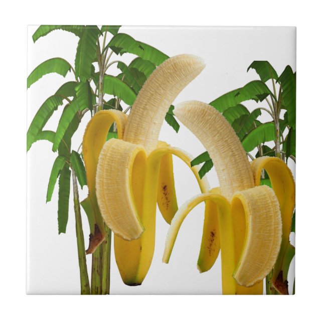 Keramik Tile Banana Tree Fliese (Vorderseite)