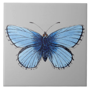 Keramik Tile - Blauer Schmetterling Grau Fliese