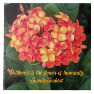 Keramik-Tile der blühenden Ixora Fliese