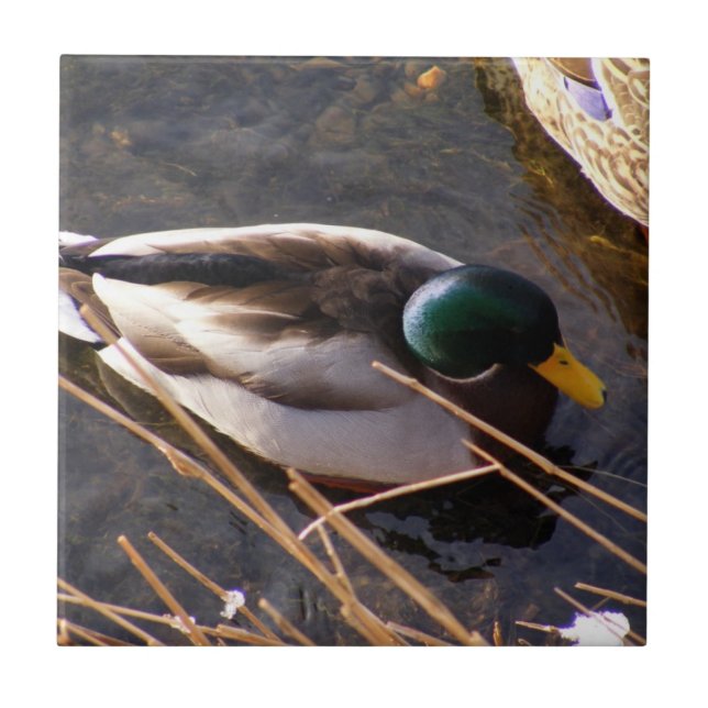 Keramik Tile Fliese (Vorderseite)