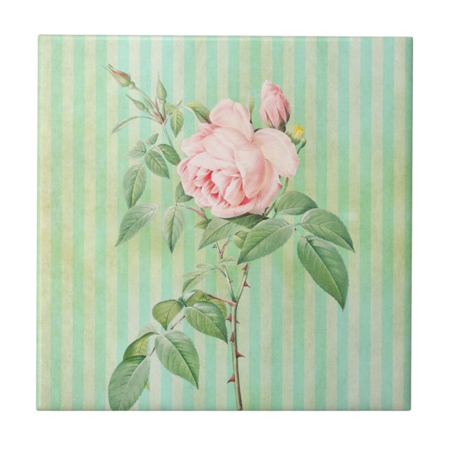 Keramik Tile Green Strip Vintag floral Fliese (Vorderseite)
