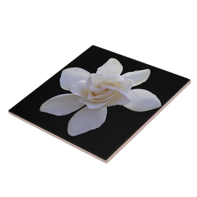 Keramik Tile - Gröden auf Schwarz Fliese (Seite)