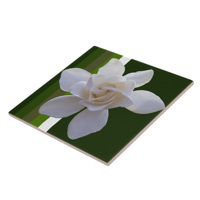 Keramik Tile - Gröden auf Streifen Fliese (Seite)