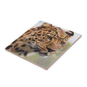 Keramik Tile Leopard Fliese