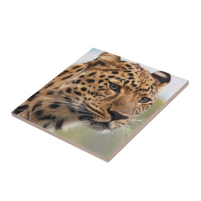 Keramik Tile Leopard Fliese (Seite)