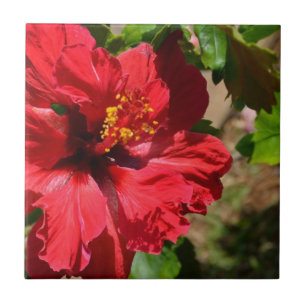 Keramik Tile mit rotem Hibiskus Fliese
