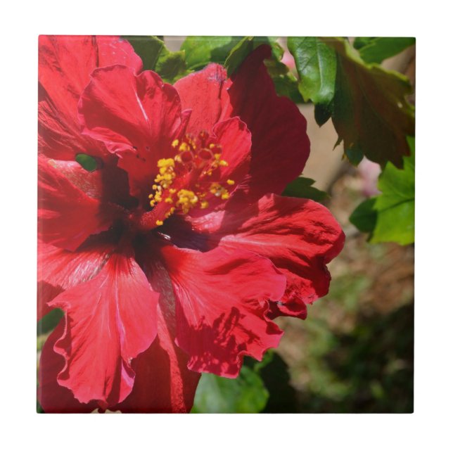 Keramik Tile mit rotem Hibiskus Fliese (Vorderseite)