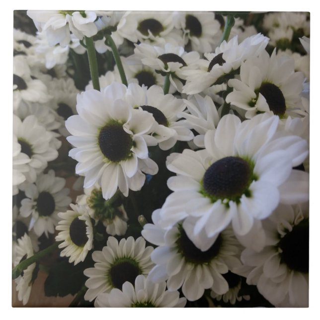 Keramik Tile - Schwarz & Weiß Daisy Fliese (Vorderseite)