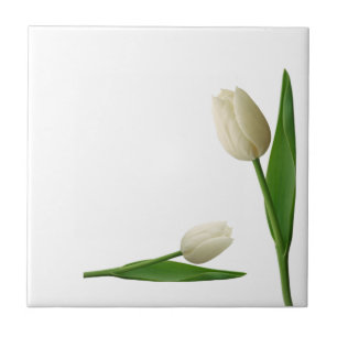 Keramik Tile White Tulip Floral Fliese