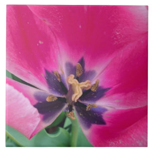 Keramik Tulip Tile Fliese