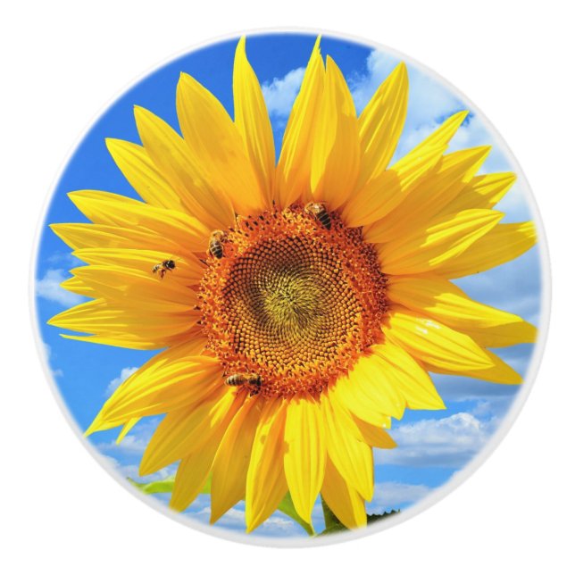 Keramik von Sonnenblumen und Bienen Keramikknauf (Vorderseite)
